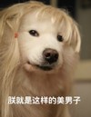 萨摩 可爱 卖萌 朕就是这样的美男子