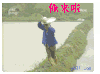 俺来啦   二蛋 二货  逗逼