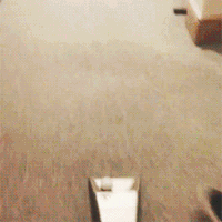 搞笑 逗乐 搞怪 很嗨