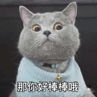 棒棒 赞 猫 可爱 呆萌