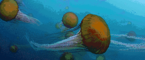 优美 水母 海洋 游动 电影 神秘 超体 海刺水母
