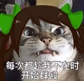开始群殴 猫咪 好凶 可爱