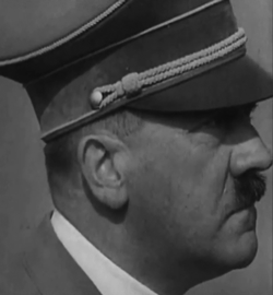希特勒  历史  二战 纳粹 面无表情  严肃