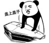 熊猫头 文字表情包 盖上盖子 搞怪 沙雕 逗趣