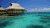 清澈 水 美景 海边 海