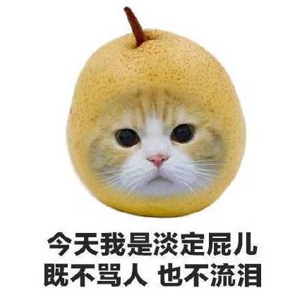 水果 蔬菜 喵星人 可爱 搞笑