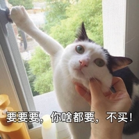 猫咪 捏脸 要要要 你啥都要 不买