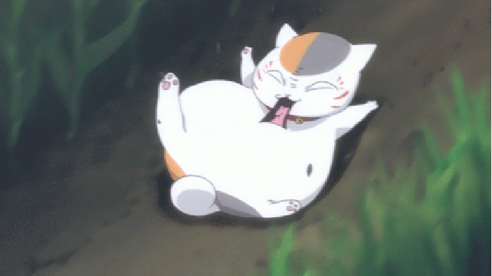 猫咪 搞笑 害怕 萌萌的
