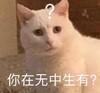 萌宠 猫星人 你在无中生有 好奇 呆萌 可爱