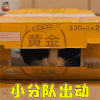 为什么猫都叫不来 小小 小分队出动 soogif soogif出品
