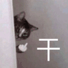 萌宠 猫星人 干 来吧 搞怪 逗