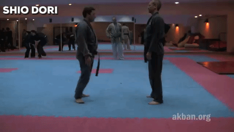 武术 武道 运动 体育