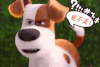 soogif 萌宠大作战 soogif出品 还不走