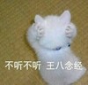 不听不听王八念经