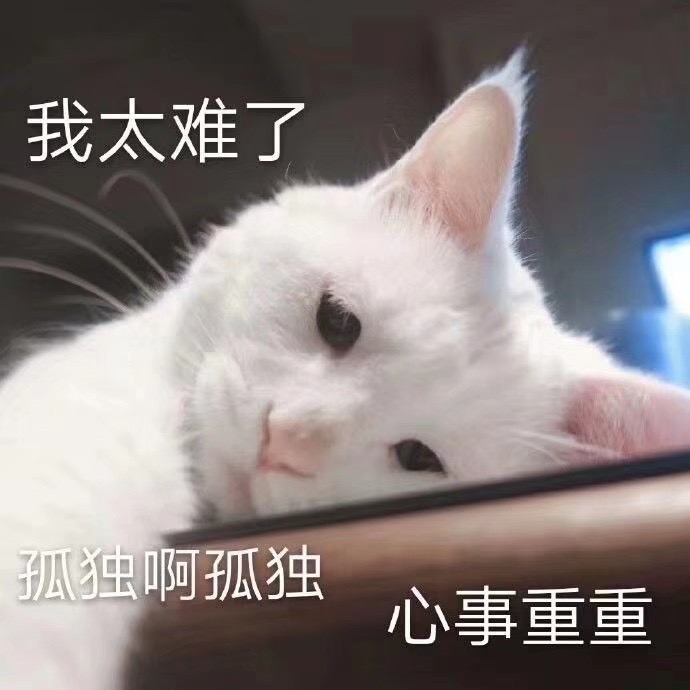 萌宠gif猫星人gif我太难了gif生无可恋gif无聊gif孤独gif