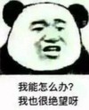 绝望 搞笑 斗图 猥琐