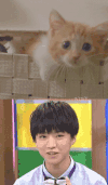 明星 TFBOYS 王俊凯