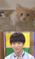 明星 TFBOYS 王俊凯