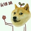 我错辣 哈士奇 萌 可爱