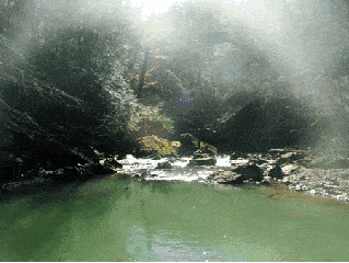 河流 阳光 绿色 石头