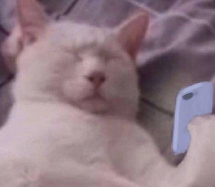 魔性 搞笑 沙雕 辣眼睛 看手机
