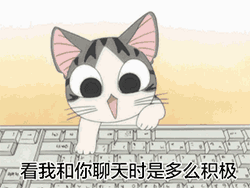 私房猫小起 键盘 拍打 可爱