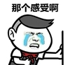 那个感受啊 哭泣 搞笑 斗图 猥琐