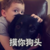 假笑男孩 萌娃 摸你狗头 可爱 呆萌 逗