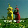 天线宝宝 草地 鲜花 你TM把我吓哭了