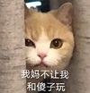 萌宠 喵星人 我妈不让我 和傻子玩 呆萌 可爱