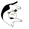 喵星人 舒服 休息 biu