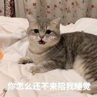 萌宠 猫星人 你怎么还不来陪我睡觉 难受 呆萌 可爱