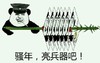 熊猫人 斗图 群聊 骚年亮兵器吧