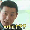 青春旅社 戴军 what 什么 吃惊 综艺 soogif soogif出品