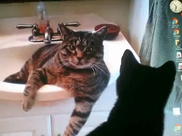 老鼠 猫 指针 浴缸