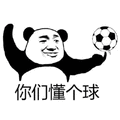 熊猫头 你们懂个球