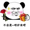 土味情话 熊猫头 不会是 呵护我