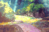 唯美意境 风景 花朵 草地