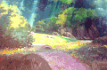 唯美意境 风景 花朵 草地