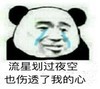 暴漫 文字表情包 流星划过夜空 也伤透了我的心 搞笑 沙雕 魔性