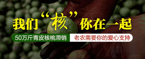 宣传 广告 公益助农 青皮核桃  绿色产品