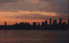 城市 海洋 美国 西雅图 风景 高楼