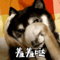 狗狗 羞羞哒