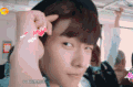 杨洋 花儿与少年 郑爽 可爱