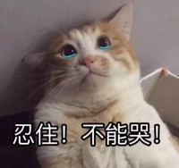萌宠 猫星人 忍住 不能哭 呆萌 可爱