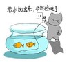 潜水的出来不然插电了 猫咪 鱼缸 金鱼