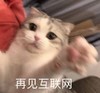 萌宠 猫星人 再见互联网 再见 呆萌 可爱