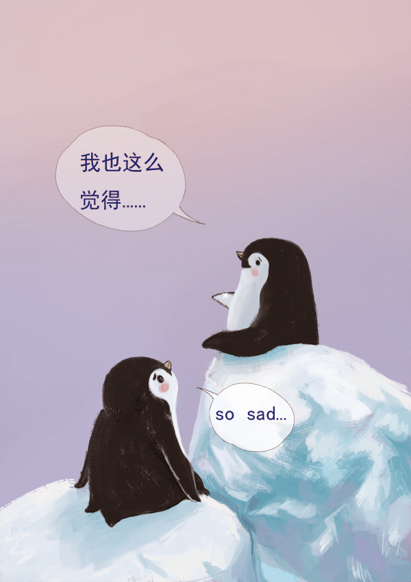 企鹅 北极 讲故事 搞笑