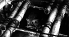 电影 horror movie creaturefromtheblacklagoon 黑白格调