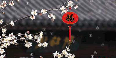 春节 福到了 雪景 新年